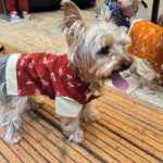お客様🐶写真館